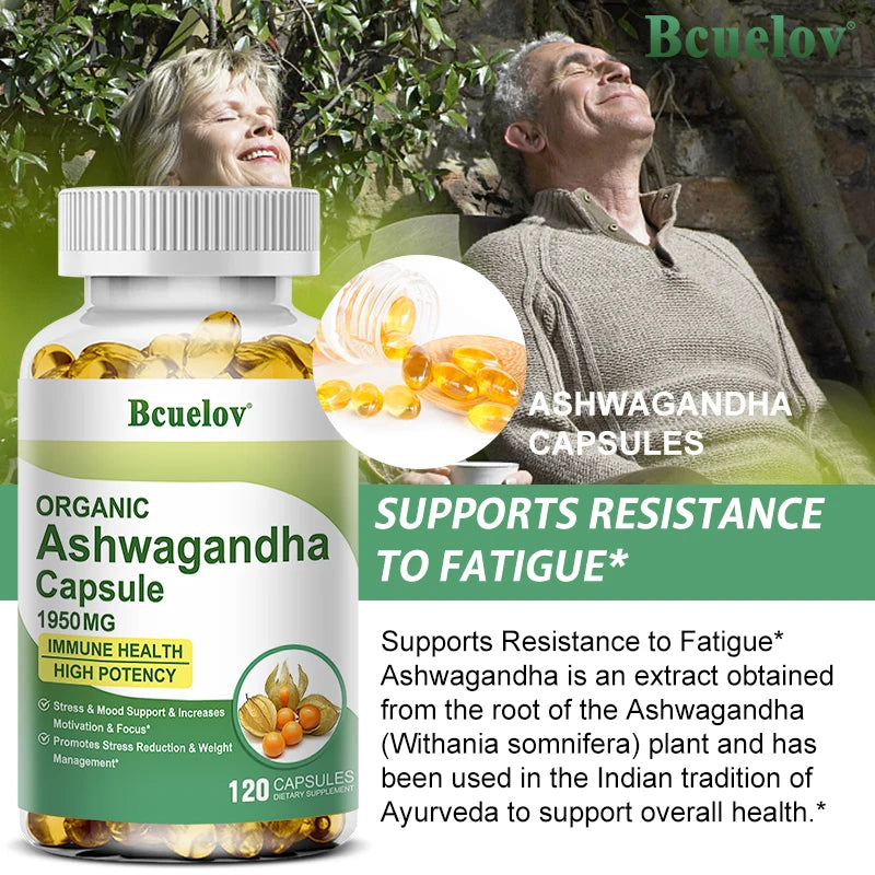 Ashwagandha - Cápsulas Calmantes Vida Plena