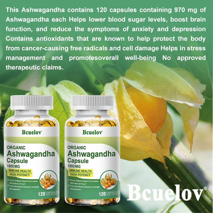 Ashwagandha - Cápsulas Calmantes Vida Plena